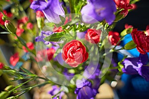 Bouquet of Canterbury bells purple flower blooming Campanula medium and red small carnations. Unpretentious and delicate violet