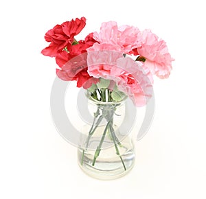 Bouquet of carnation in a glass bottle