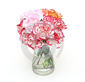 Bouquet of carnation in a glass bottle