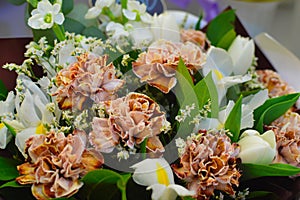 Bouquet with a carnation and irises at a window