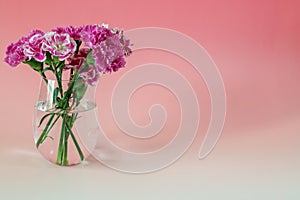 Bouquet of carnation in a red gradation background