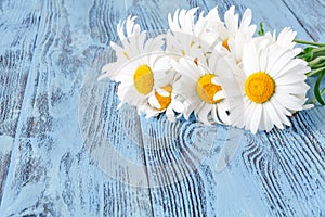 Bouquet of chamomiles on blue vintage wooden background