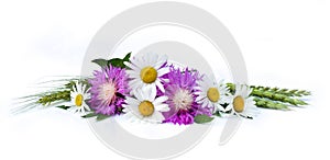 Bouquet chamomiles, wheats  and cornflowers Centaurea dealbata Willd.  on white background