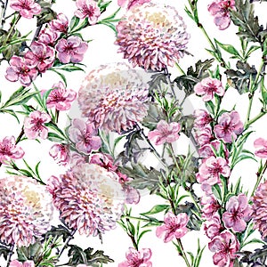 Chryzantéma broskev květiny akvarel vzor bezešvý 