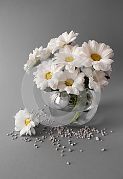 Bouquet of chrysanthemums