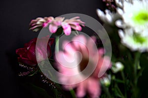 Bouquet of chrysanthemums and gerberas with a rose on a black background