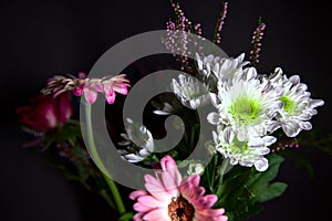 Bouquet of chrysanthemums and gerberas with a rose on a black background