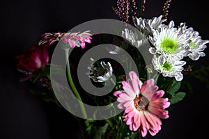 Bouquet of chrysanthemums and gerberas with a rose on a black background