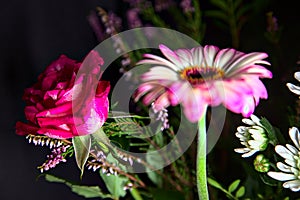 Bouquet of chrysanthemums and gerberas with a rose on a black background