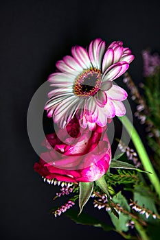 Bouquet of chrysanthemums and gerberas with a rose on a black background