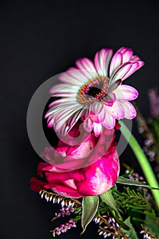 Bouquet of chrysanthemums and gerberas with a rose on a black background