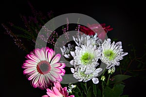 Bouquet of chrysanthemums and gerberas with a rose on a black background