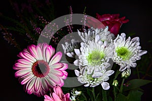 Bouquet of chrysanthemums and gerberas with a rose on a black background