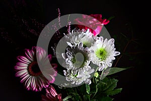 Bouquet of chrysanthemums and gerberas with a rose on a black background