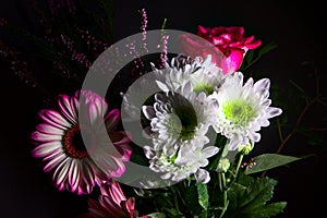 Bouquet of chrysanthemums and gerberas with a rose on a black background