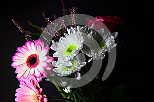 Bouquet of chrysanthemums and gerberas with a rose on a black background