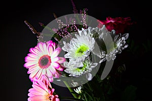 Bouquet of chrysanthemums and gerberas with a rose on a black background