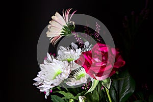 Bouquet of chrysanthemums and gerberas with a rose on a black background