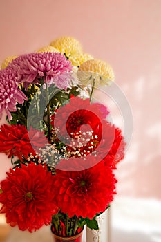 Bouquet from chrysanthemums red, white and pink.