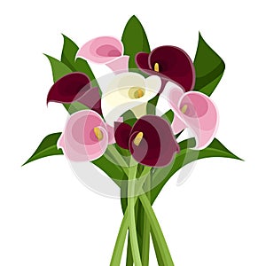 Bouquet of colored calla lilies.