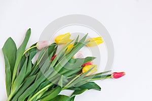 Bouquet of colored tulips on a white background. Spring flowers.