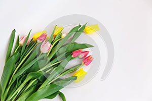 Bouquet of colored tulips on a white background. Spring flowers. Colored tulips, Lovely tulip flowers composition.