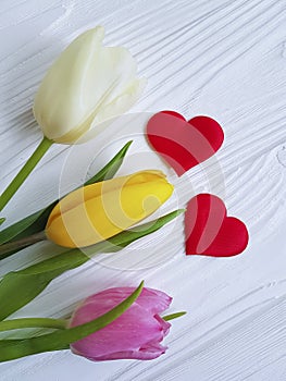 bouquet of colored tulips white wooden background two red hearts