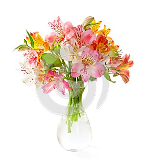 Bouquet of colorful Alstroemeria flowers in a transparent glass vase isolated on white background