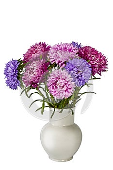 Bouquet of colorful bright asters in white ceramic vase on white background