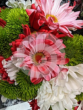 Bouquet of colorful Daises