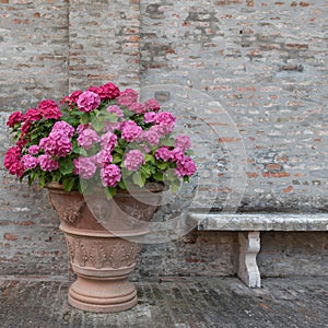 Bouquet of colorful flowers and a bench in a garden Italy