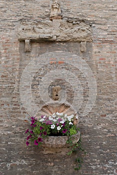 Bouquet of colorful flowers in a garden Italy