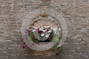 Bouquet of colorful flowers in a garden Italy