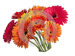 Bouquet from colorful gerbera flowers