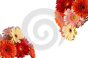 Bouquet of colorful gerbera flowers isolated on white