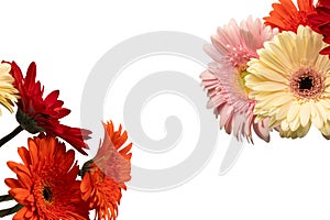 Bouquet of colorful gerbera flowers isolated on white