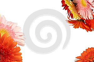 Bouquet of colorful gerbera flowers isolated on white