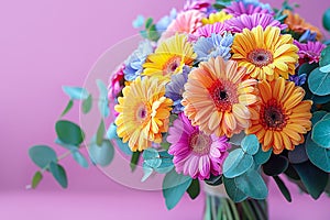 Bouquet of colorful gerberas and eucalyptus on purple background close-up.