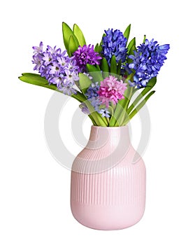 Bouquet of colorful hyacinth flowers and leaves in a pink vase isolated