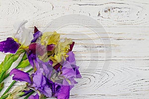 Bouquet of colorful iris flowers on white wooden background. Top view, copy space