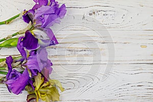 Bouquet of colorful iris flowers on white wooden background. Top view, copy space