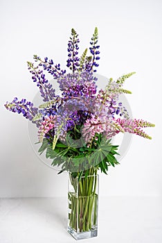 Bouquet of colorful lupines in a glass vase on white