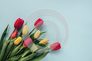 Bouquet of colorful red and yellow tulip flowers on blue background. Spring holidays concept. Top view, flat lay, copy