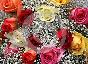 Bouquet of Colorful Roses