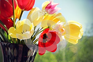 Bouquet of colorful spring tulips in a vase