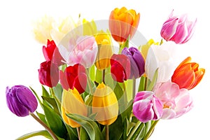 Bouquet of colorful tulips