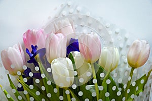 A bouquet of colorful tulips. beautiful spring flowers. background for decoration for the Easter holiday.