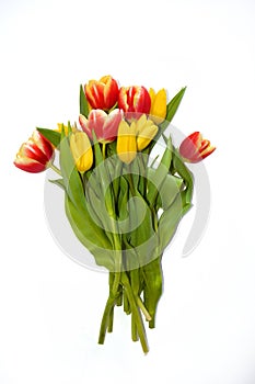 A bouquet of colorful tulips. beautiful spring flowers. background for decoration for the Easter holiday.