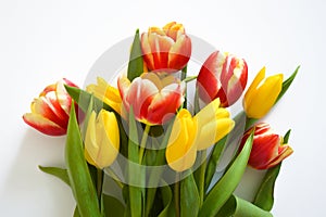 A bouquet of colorful tulips. beautiful spring flowers. background for decoration for the Easter holiday.