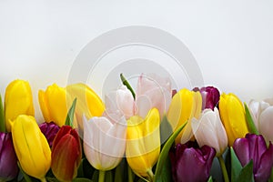 A bouquet of colorful tulips. beautiful spring flowers. background for decoration for the Easter holiday.